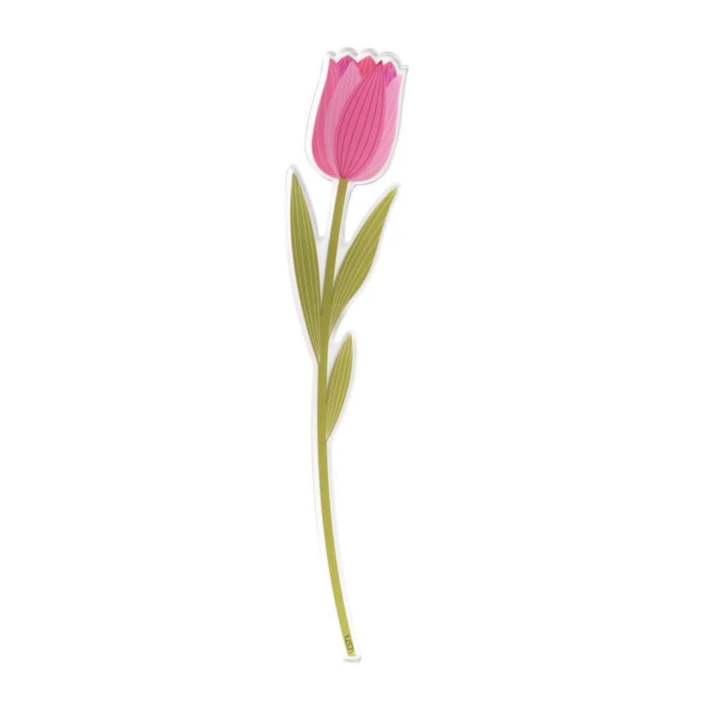 Tulipano Piccolo Funny Flowers colore rosa