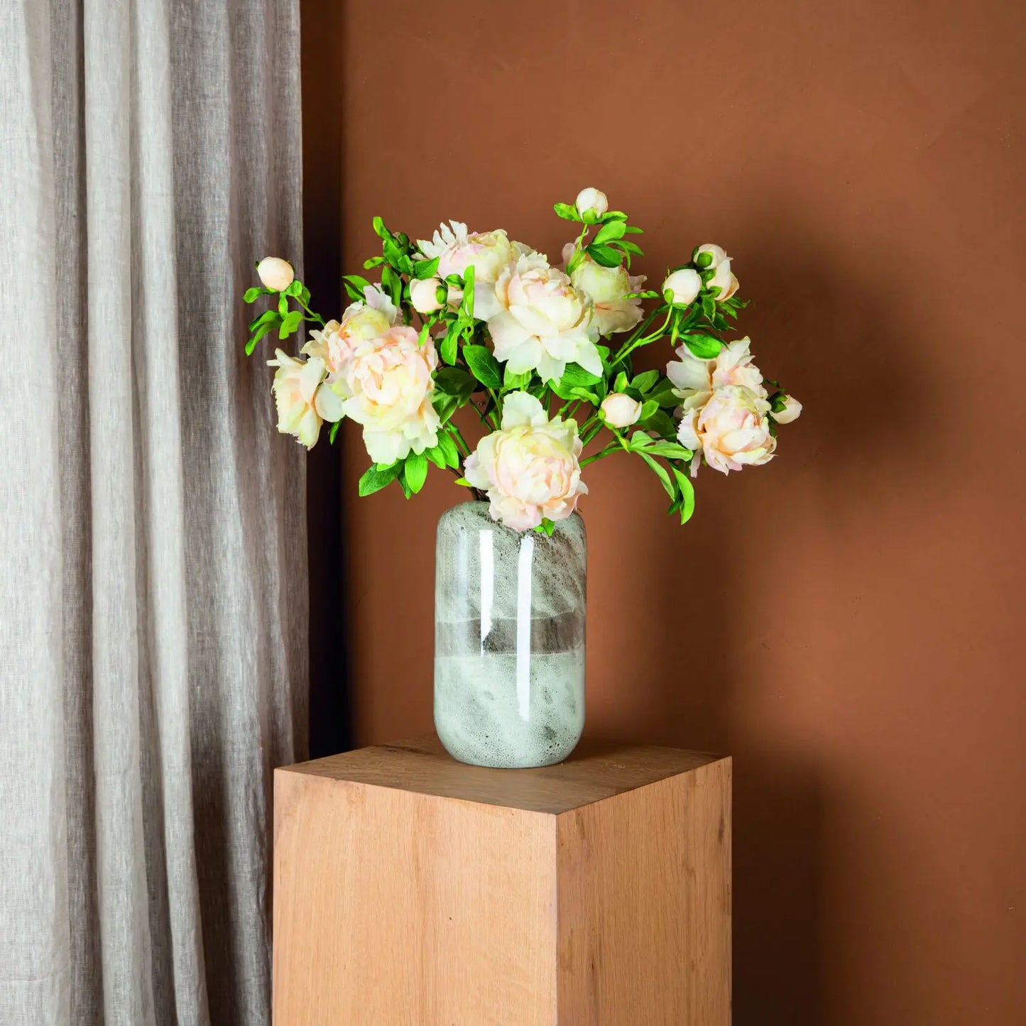 Peonia