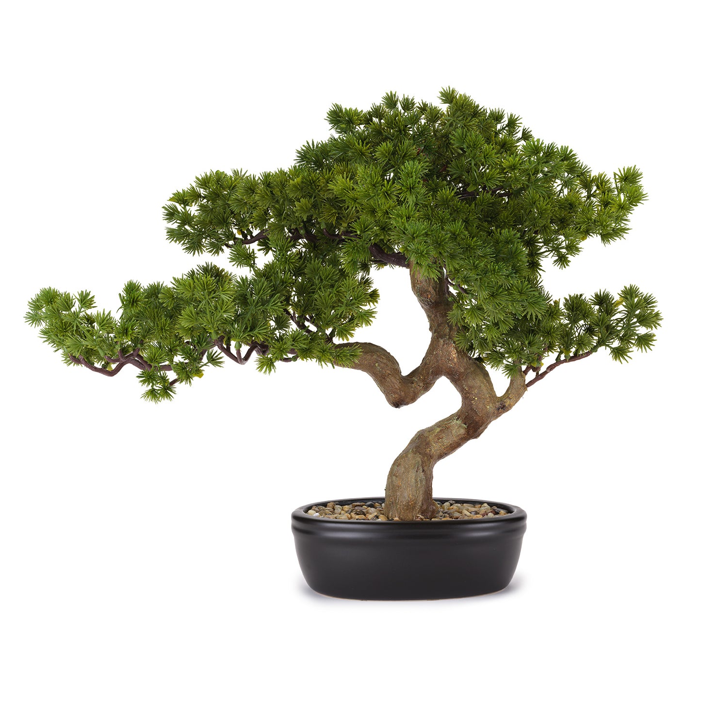 BONSAI PINO C/VASO CERAMICA cm56x34