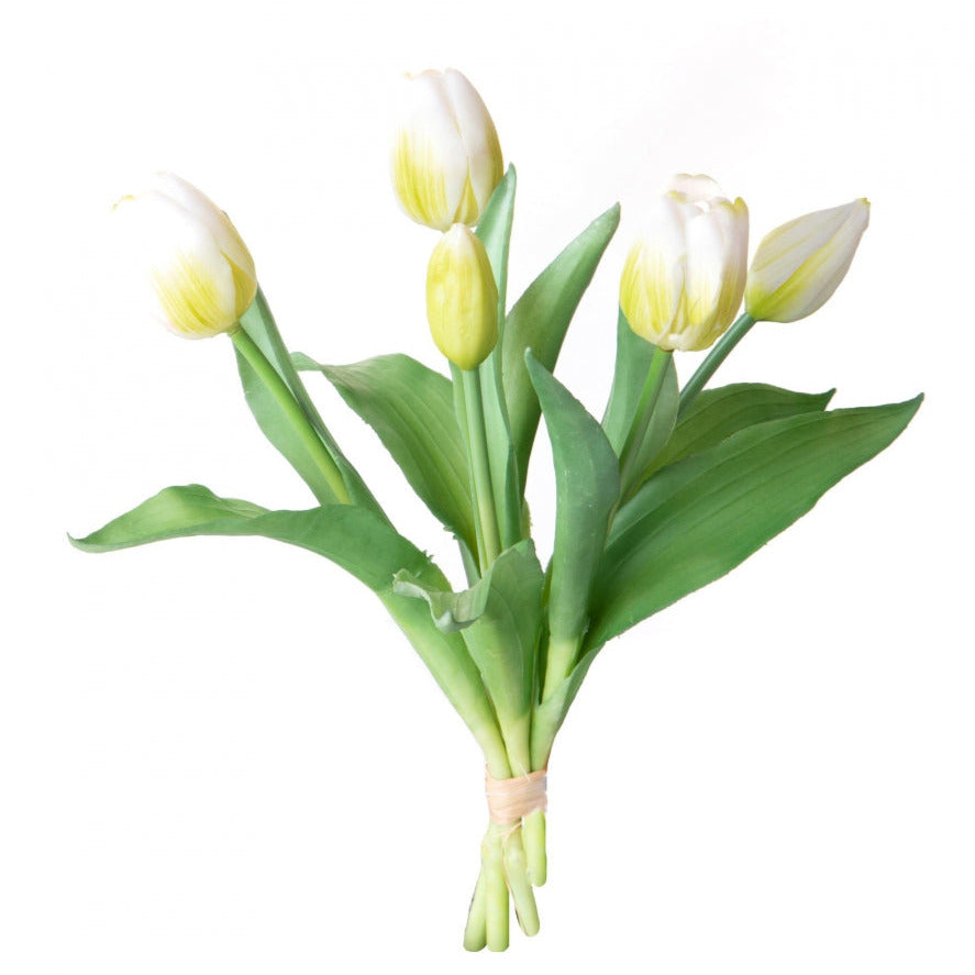 Rametto di Cinque Tulipani