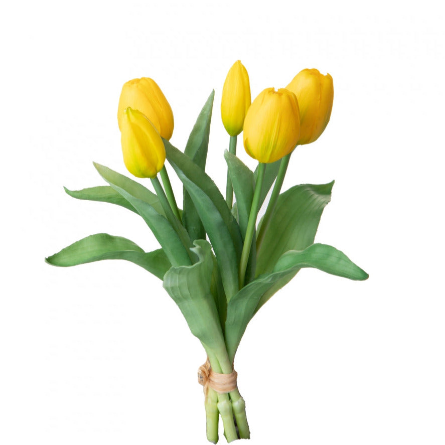 Rametto di Cinque Tulipani