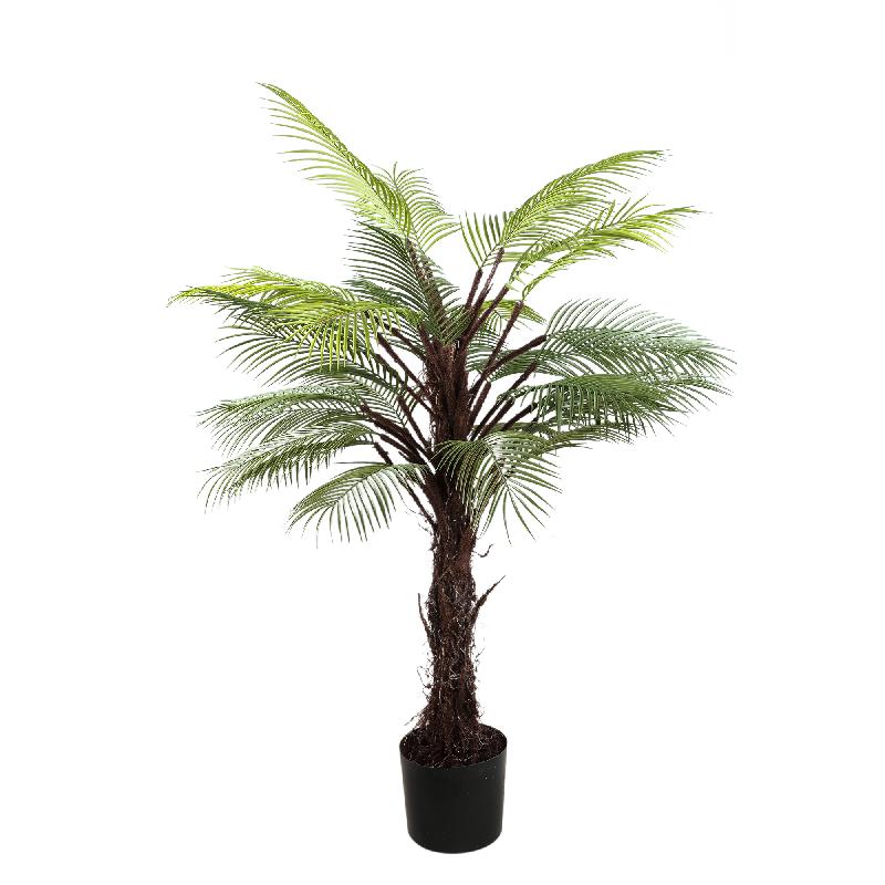 Palma Verde in Vaso Nero
