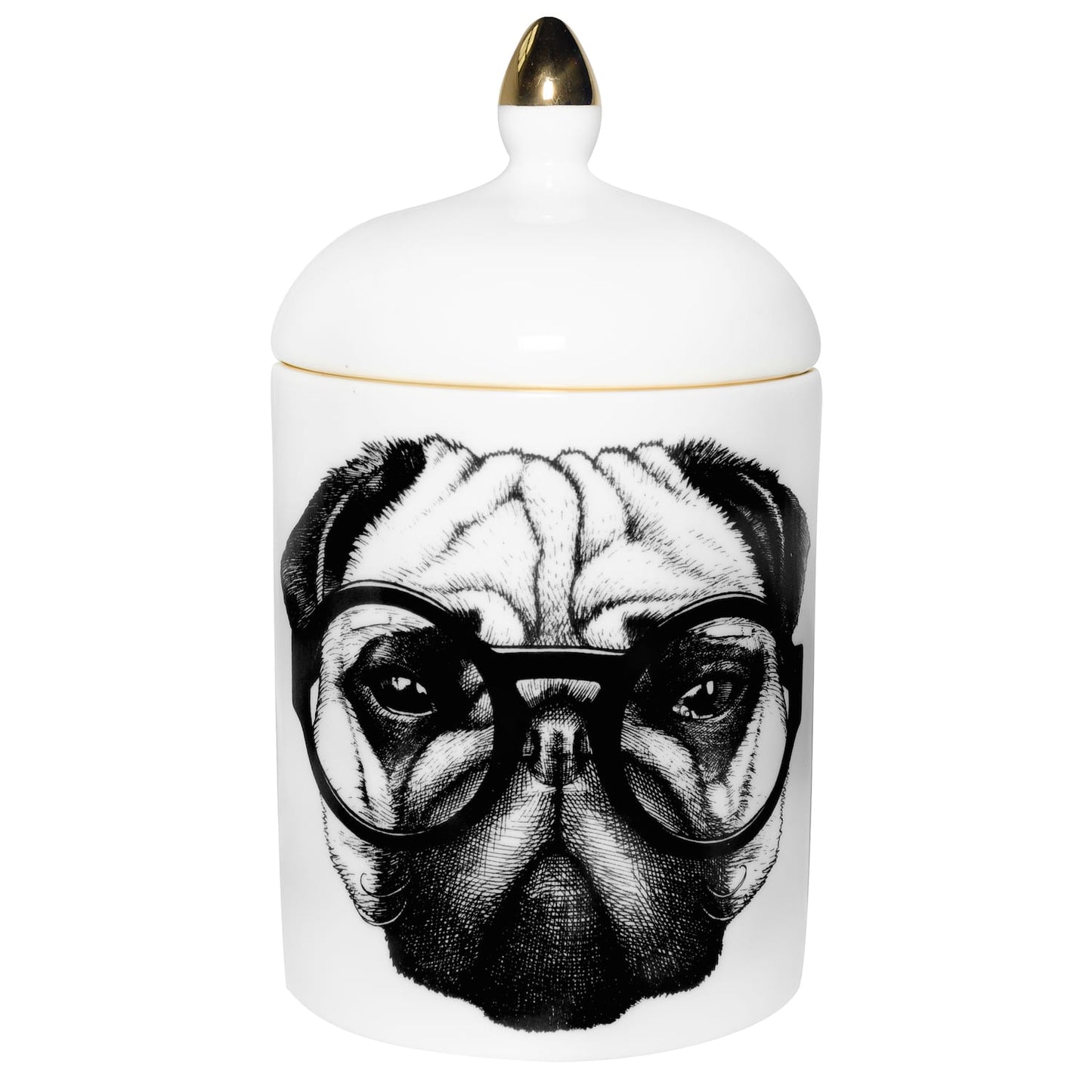 Candela Percy Pugworthy’ Pug Dog