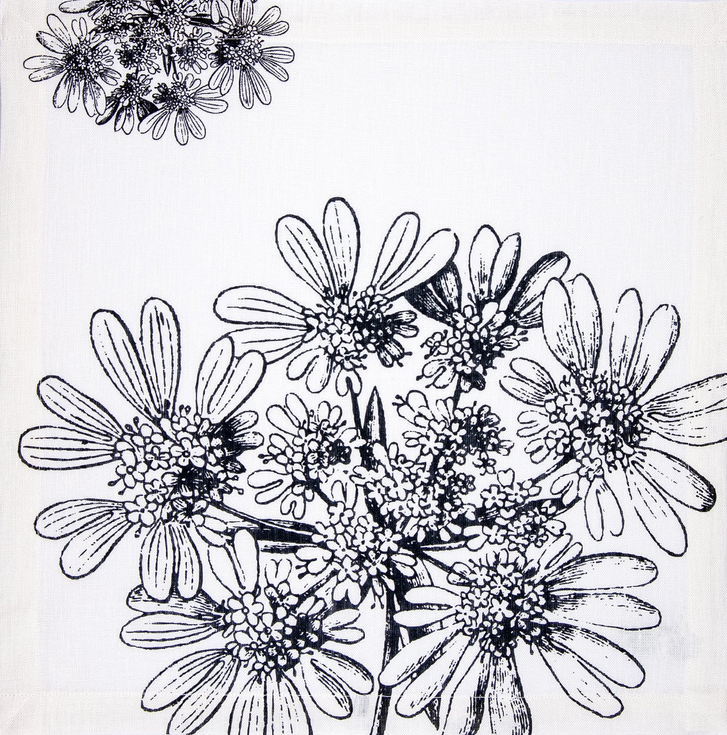 Set da 4 Tovaglioli Stentor