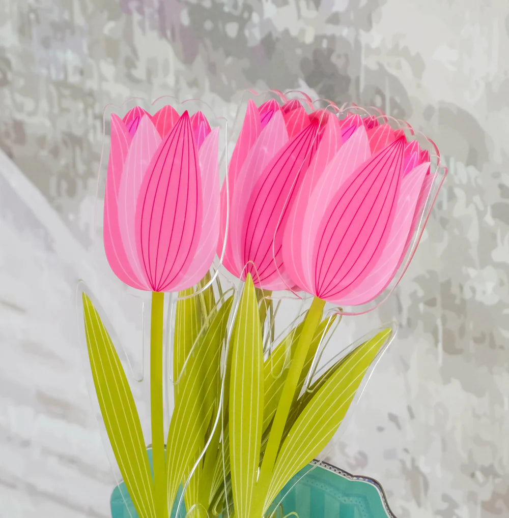 Tulipano Piccolo Funny Flowers colore rosa