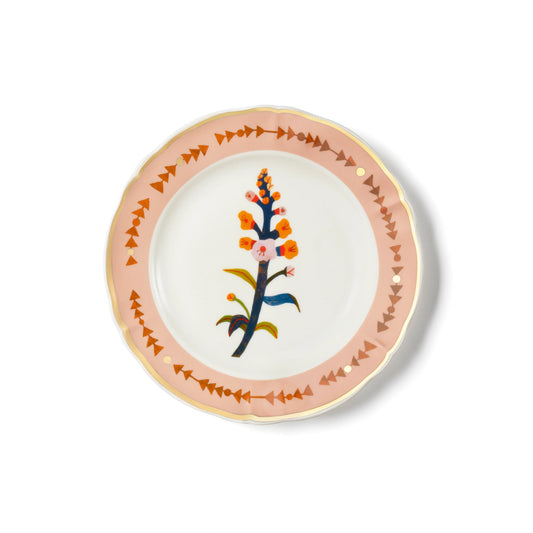 Posto Tavola Botanica Arancio
