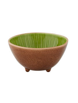 Ciotola Kiwi Frutta Tropicale
