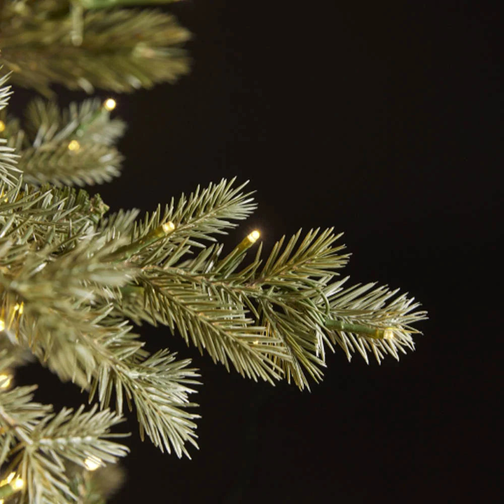 Albero di Natale Pino Argentato EDG con 4.000 MiniLED – H 210 cm