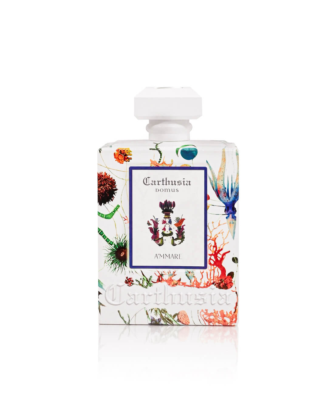 Domus A'mmare 680ml