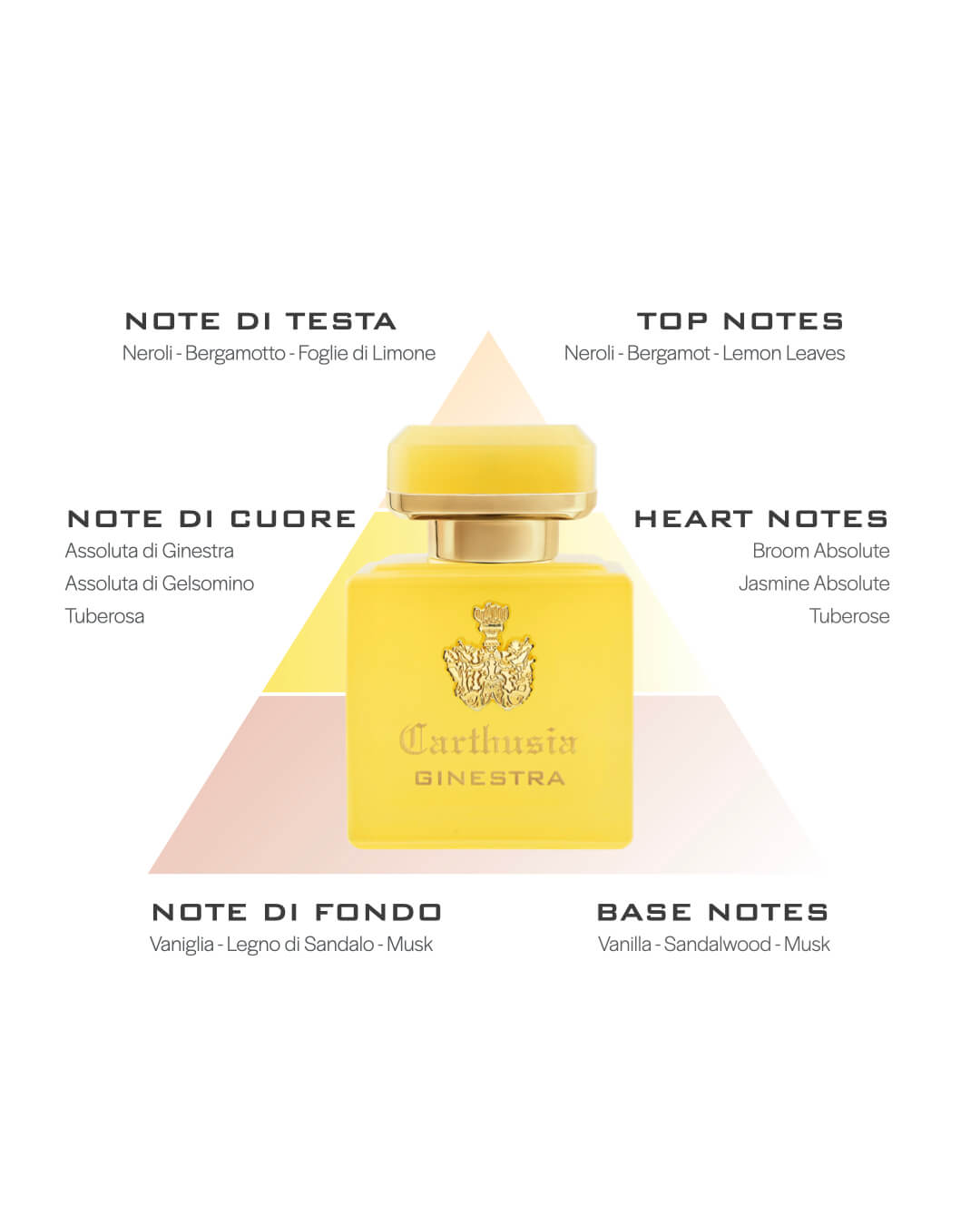 Profumo Intenso di Ginestra