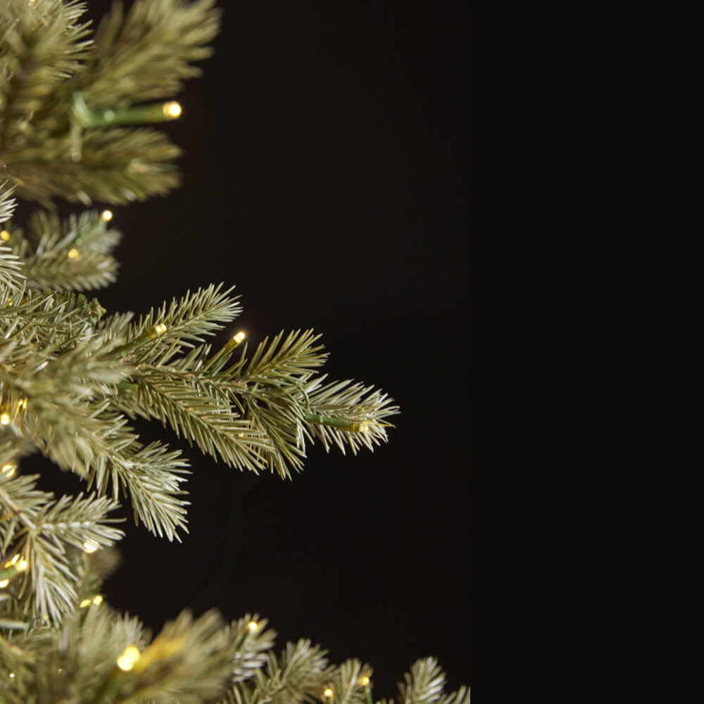 Albero di Natale Pino Argentato EDG con 5.000 MiniLED – H 240 cm