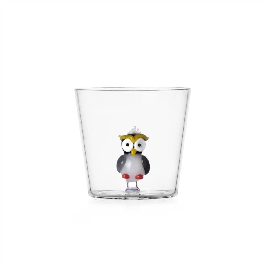 Tumbler gufo colorato Set da 2