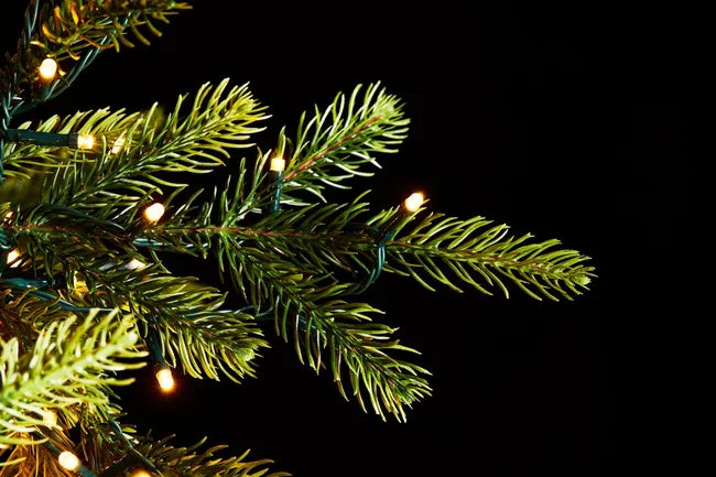 Albero di Natale Pino Luxury EDG con 5.000 MiniLED – H 240 cm