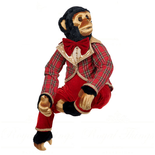 Scimmia in Costume Tartan